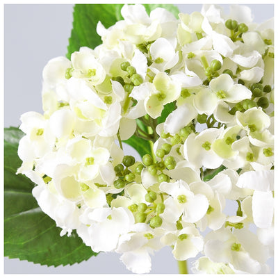 Flowers (Artificial) - Hydrangea White 49