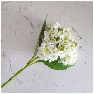 Flowers (Artificial) - Hydrangea White 49