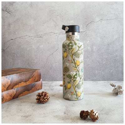 INSULATED BOTTLE, 750ml - HANDLE LOOP - HUMMING BIRD