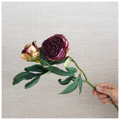 Flowers (Artificial) - Peony - Coffee
