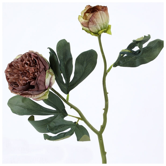 Flowers (Artificial) - Peony - Coffee