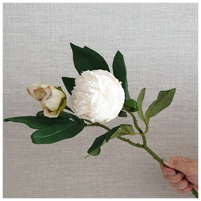 Flowers (Artificial) - Peony - White