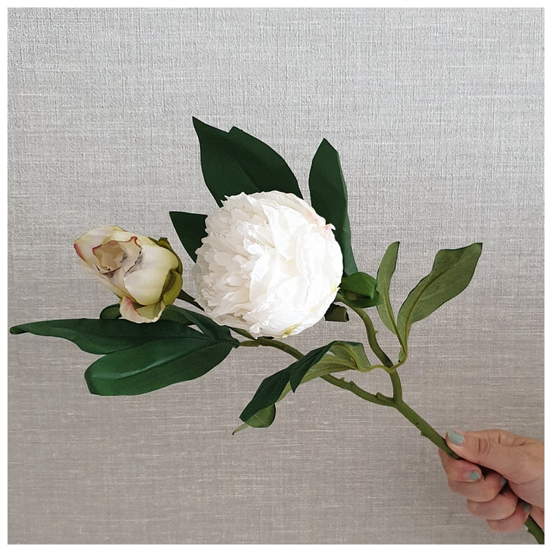 Flowers (Artificial) - Peony - White