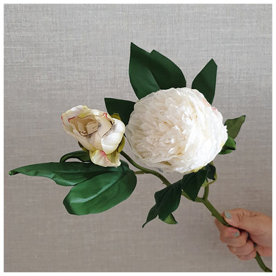Flowers (Artificial) - Peony - White