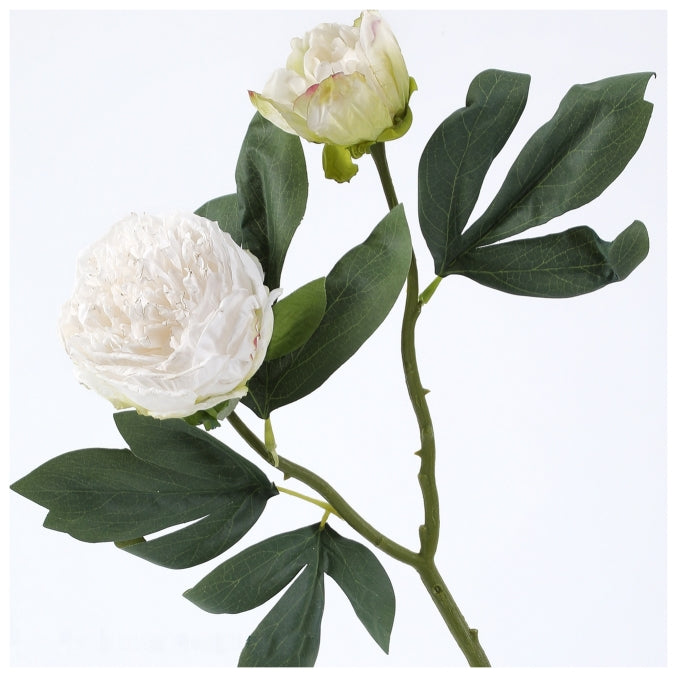 Flowers (Artificial) - Peony - White