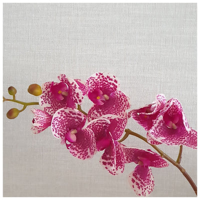 Flowers (Artificial) - Orchid Spotted & Motted - Purple