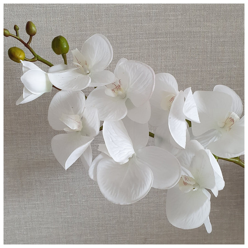 Flowers (Artificial) - Orchid - White