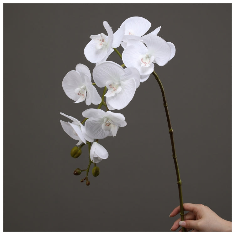 Flowers (Artificial) - Orchid - White