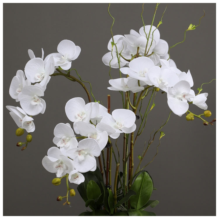 Flowers (Artificial) - Orchid - White