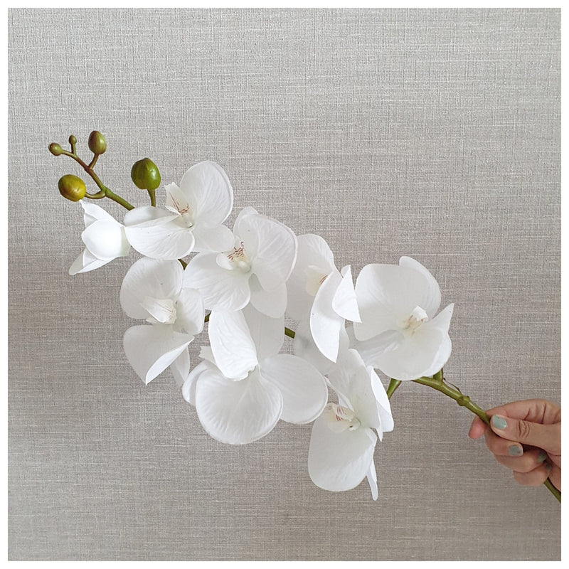 Flowers (Artificial) - Orchid - White
