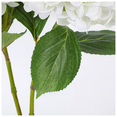 Flowers (Artificial) - Hydrangea - White
