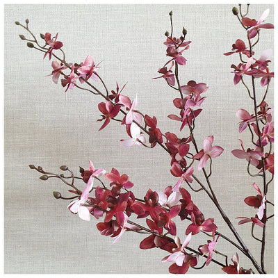 Flowers (Artificial) - Phalaenopsis - Dark Pink