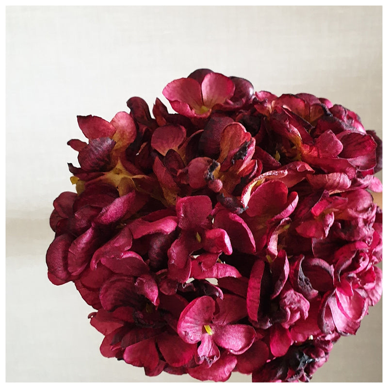 Flowers (Artificial) - Hydrangeas - Dark Red