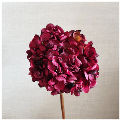 Flowers (Artificial) - Hydrangeas - Dark Red