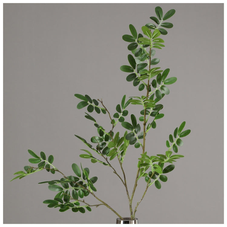 Flowers (Artificial) - Locust Leaf - Green