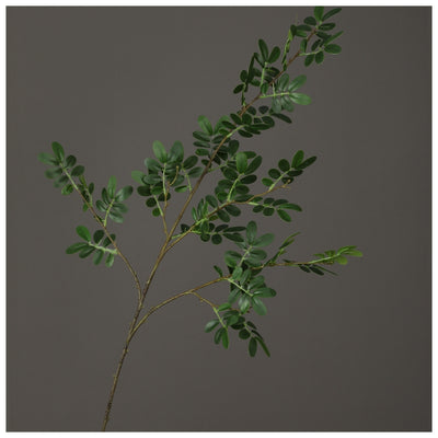 Flowers (Artificial) - Locust Leaf - Green