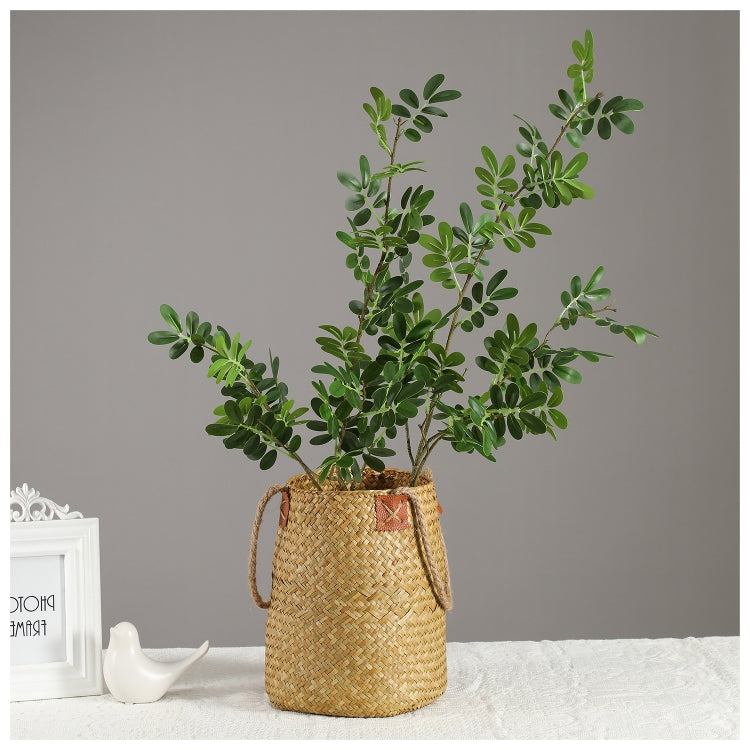 Flowers (Artificial) - Locust Leaf - Green