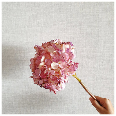 Flowers (Artificial) - Hydrangeas - Dark Pink